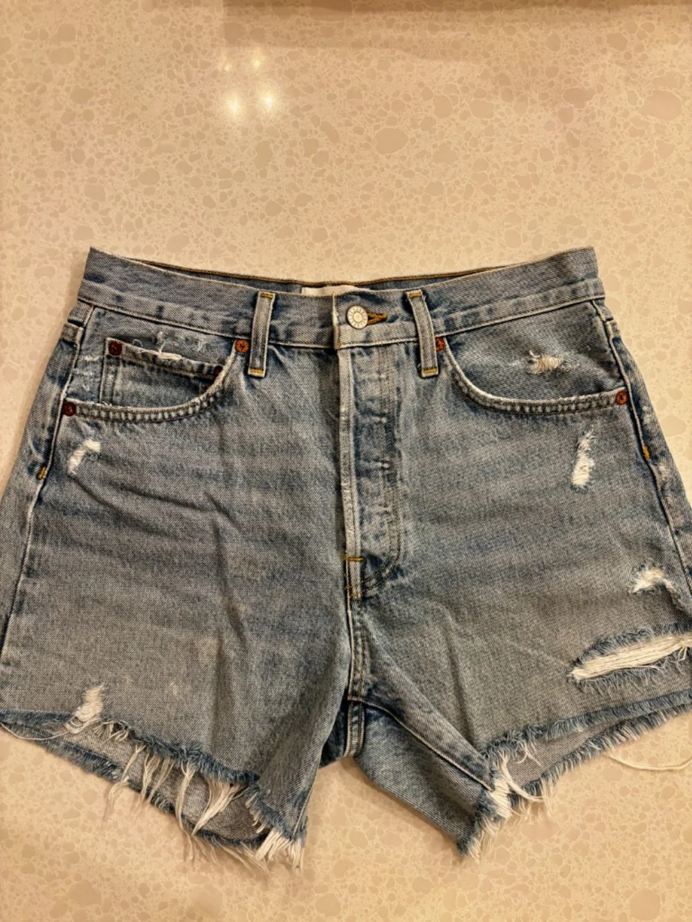 Agolde Parker Long Shorts - Swapmeet